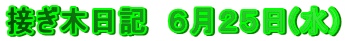 ڂؓL@UQT()